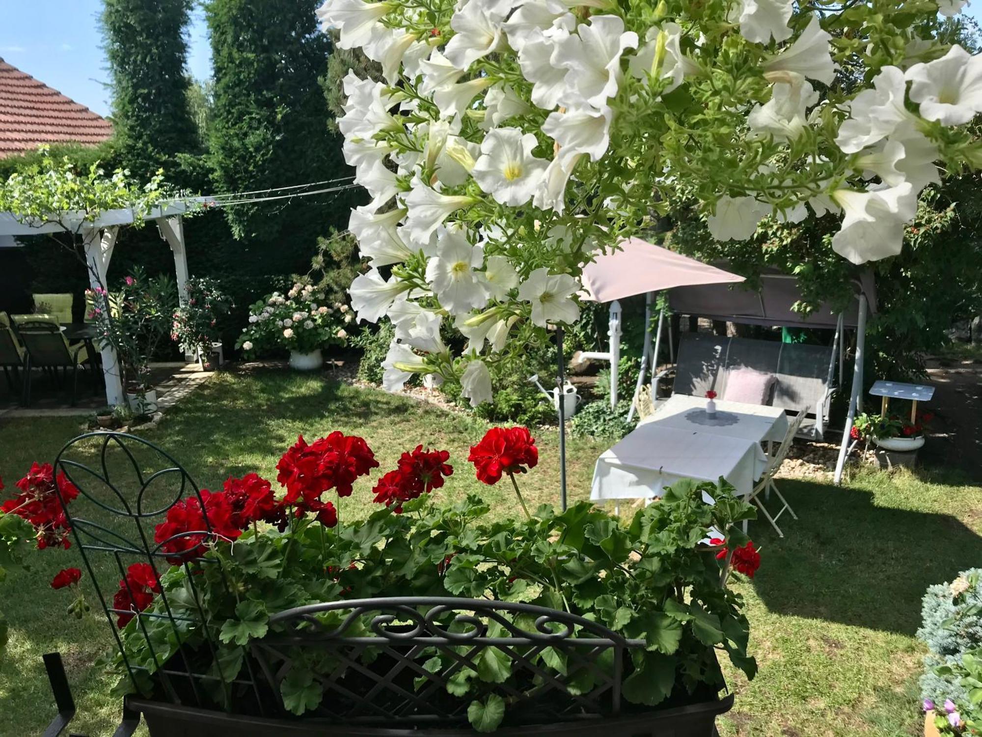 Relaxační studio VERA s UBYTOVÁNÍM Valtice Exterior foto