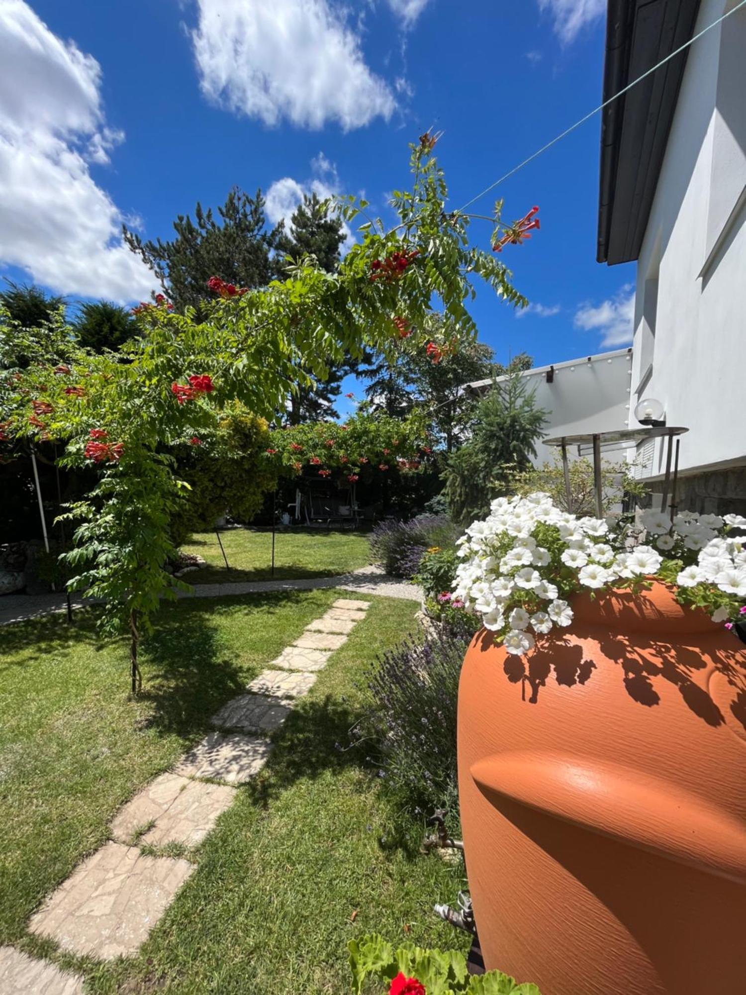 Relaxační studio VERA s UBYTOVÁNÍM Valtice Exterior foto
